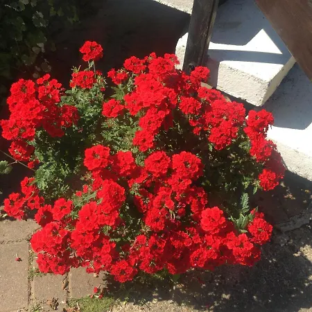 아파트 Rosi Stoppa 부르크