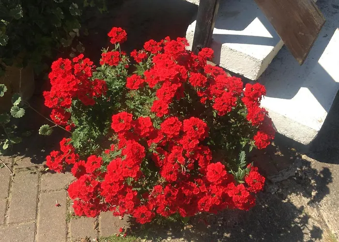 شقة Rosi Stoppa بورغ