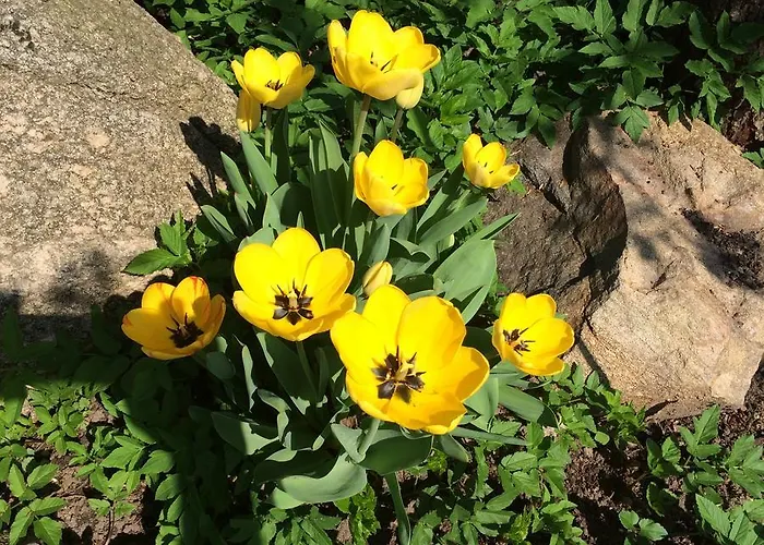 شقة Rosi Stoppa بورغ