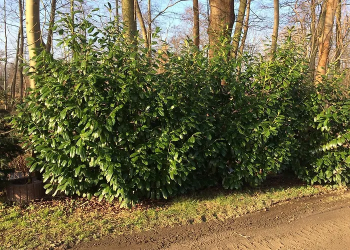 شقة Rosi Stoppa بورغ