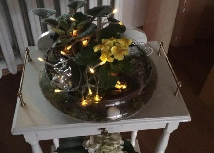 Rosi Stoppa * بورغ